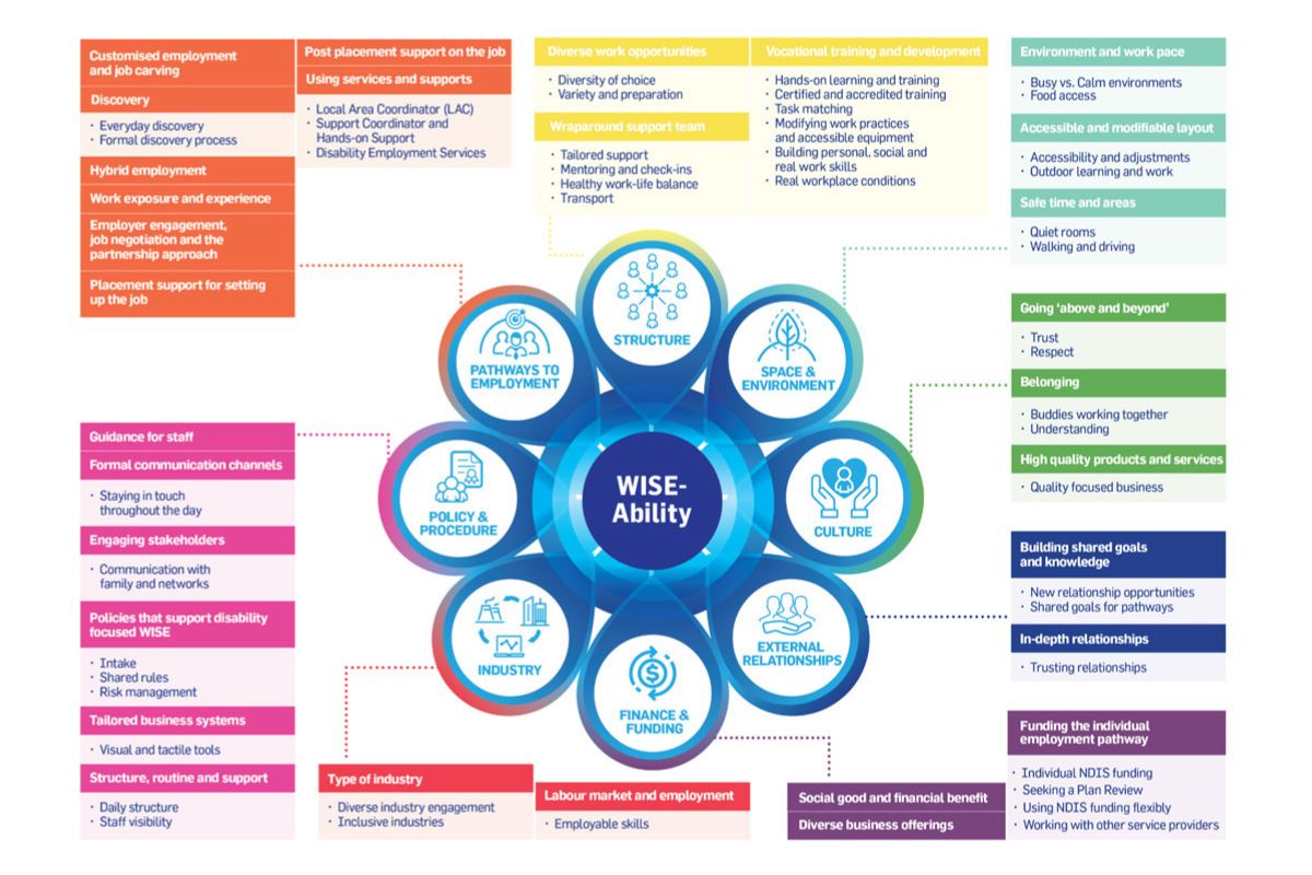 Infographic of the WISE-Ability model outlining key areas for inclusive employment pathways and support.